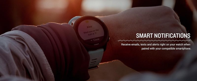 Garmin - Forerunner 245 Music, GPS Running Smartwatch with Music and Advanced Dynamics, Black - Image 3